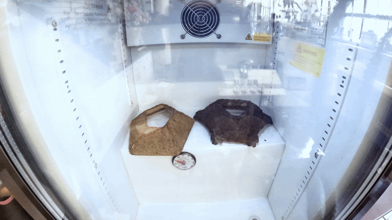 Freeze Proof test